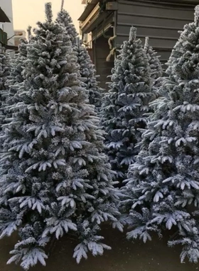 圣诞树家用白色餐1.5/1.8/2.1/2.4/3植绒雪松摆件节装饰品厂