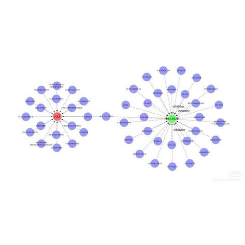 网络药理学 生信sic 中药复方分子对接GO/KEGG富集分析医学科研