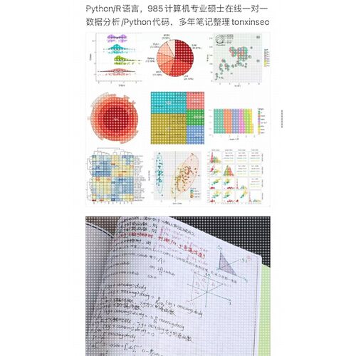 个人】R语言python代码做数据分析深度机器学习图饼图热图火山图