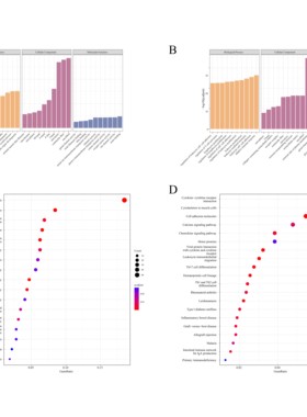 生信分析代码修改R语言Perl脚本报错解决服务