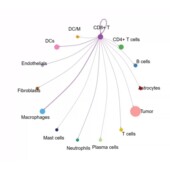 遗传学Chlp seq1对1辅导零基础到精通生信分析