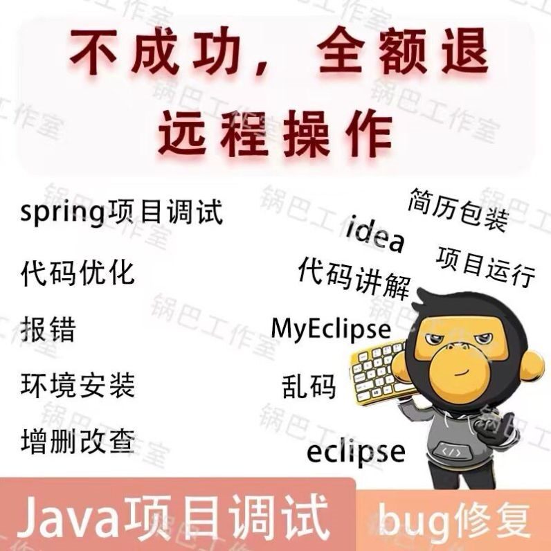 java代码调试bug问题解决修改项目运行指导程序讲解软件后端开发