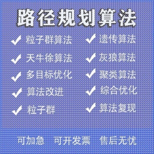 matlab路径规划遗传蚁群粒子群算法代做Python强化学习多目标优化