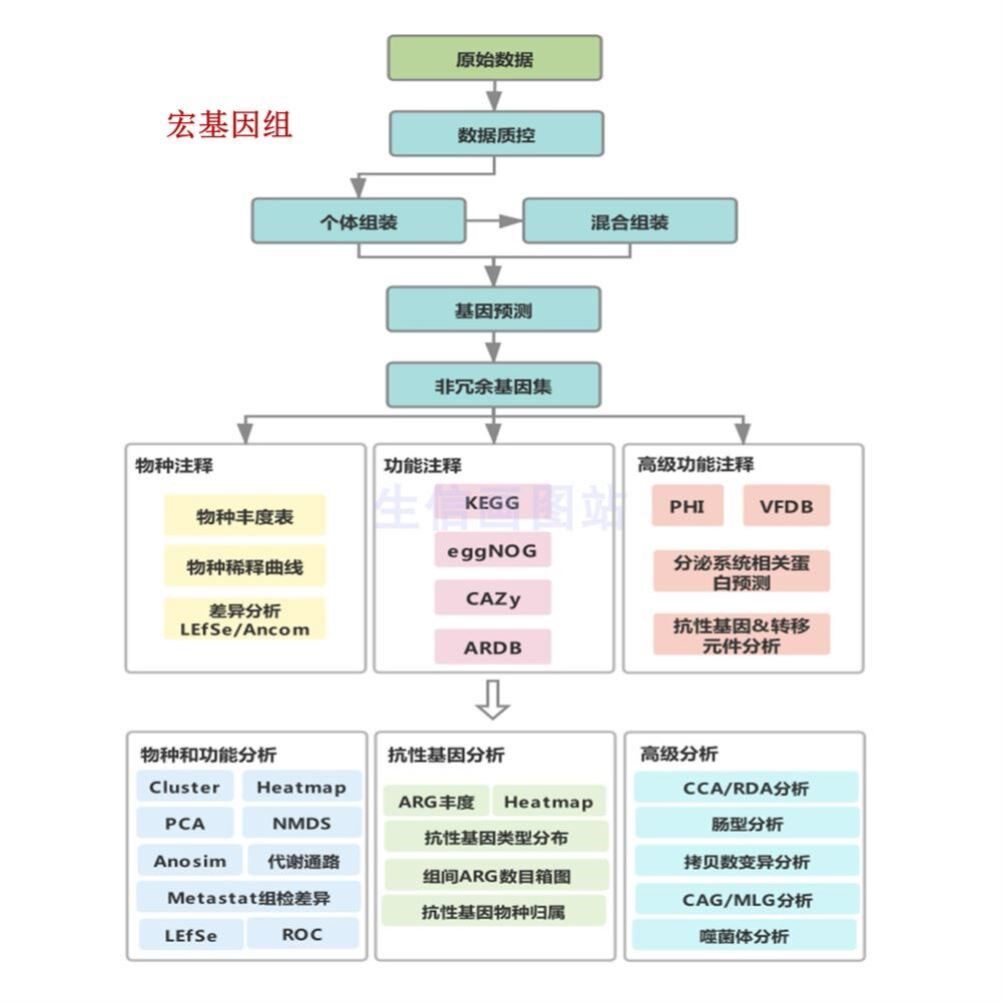 生信分析聚类热图圆圈热图GEO数据挖掘TCGA数据分析