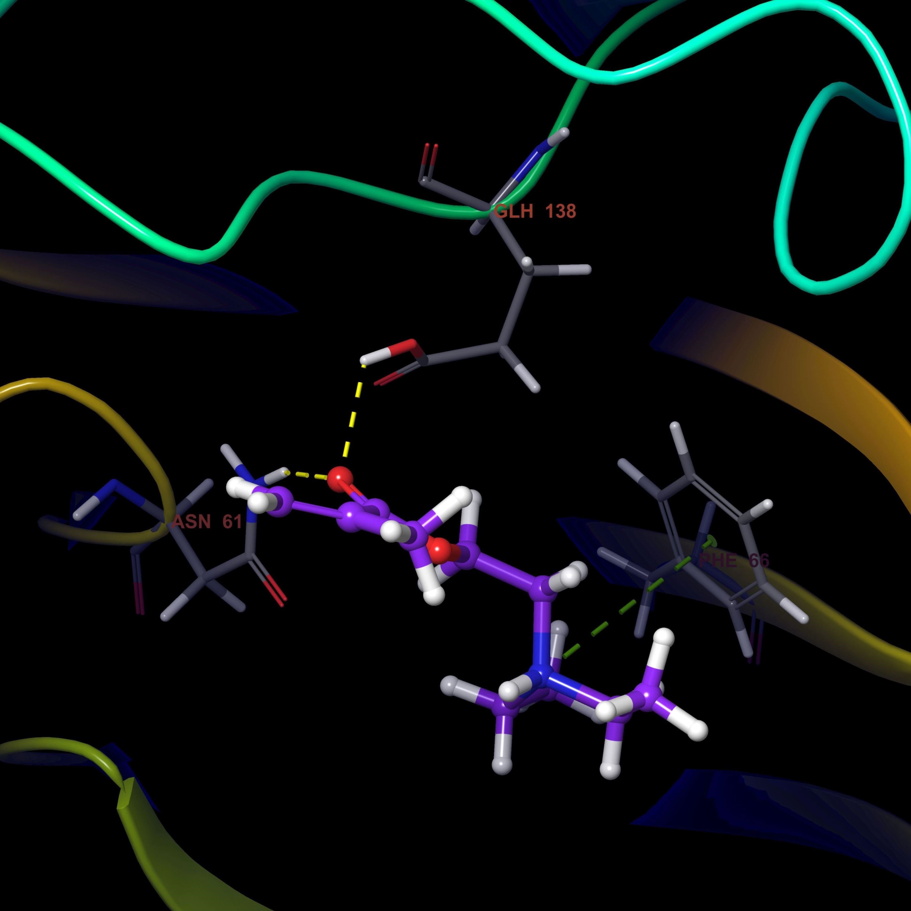 清北博士团队虚拟筛选/分子对接/蛋白互作/网络药理学/多肽对接