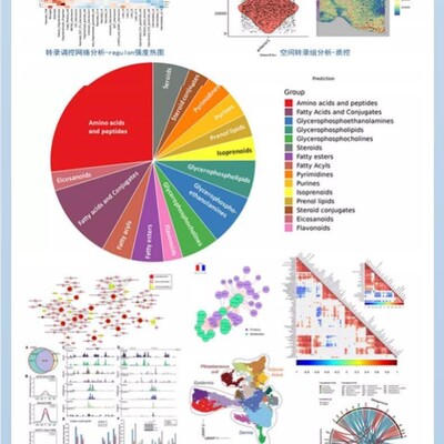TCGA GEO挖掘单细胞测序自测数据个性化分析