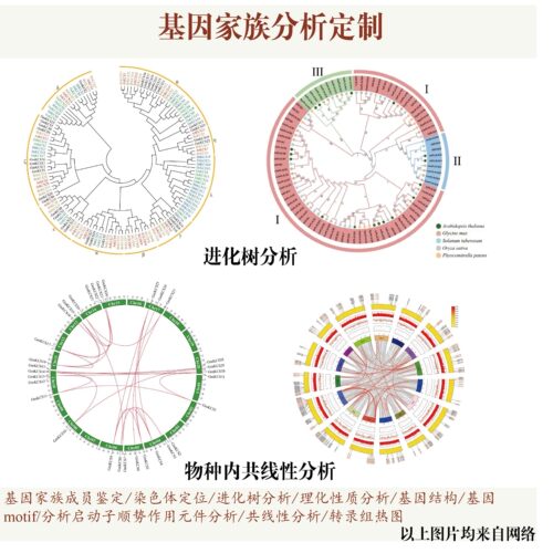 火山气泡柱状GSEA曲线图生信分析服务