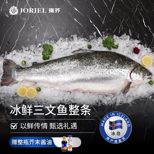 掬芥冰岛冰鲜三文鱼整条刺身新鲜即食深海大西洋鲑鱼10-14斤