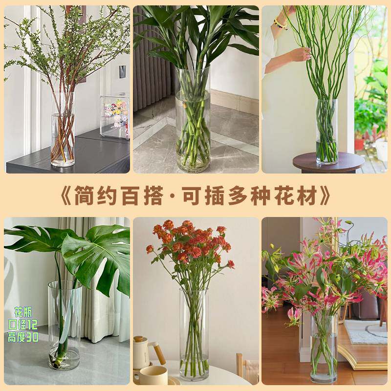 大口径水培龟背竹白掌碗莲专用花瓶客厅插花水竹富贵竹玻璃花盆