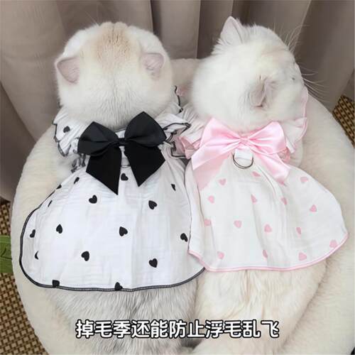 猫咪衣服防掉毛薄款夏天衣连衣裙