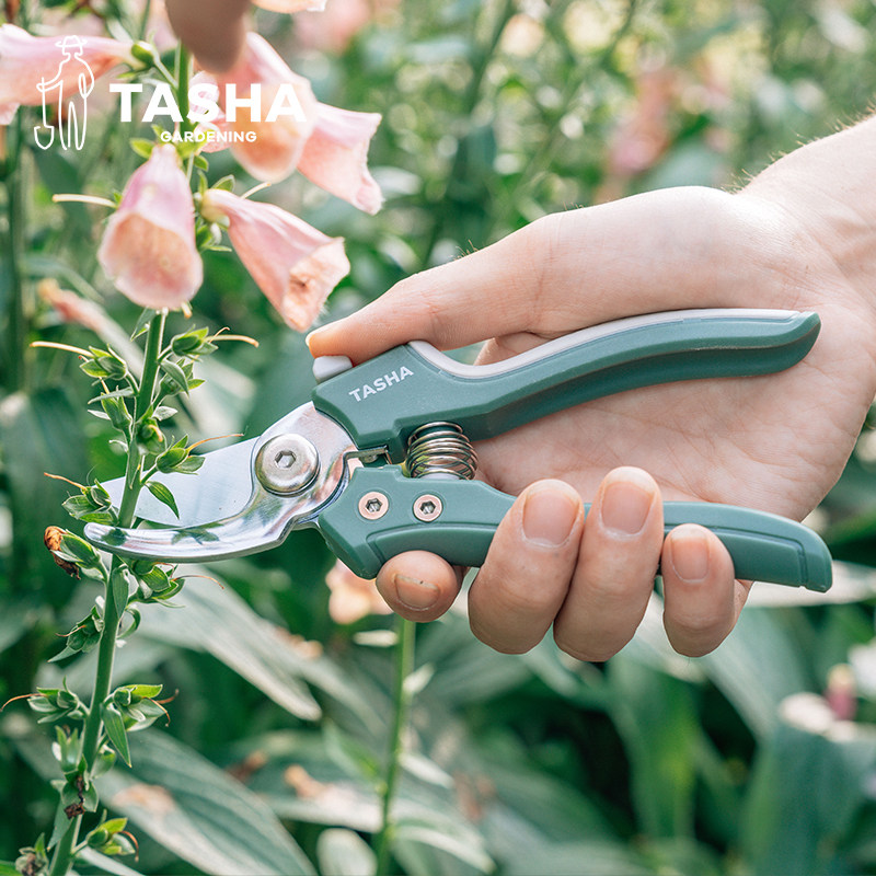 塔莎的花园 塔莎定制园艺剪刀专业E修剪枝条家用多功能枝剪盆栽剪,居家日用,园艺刀剪,淘宝优惠券,粉丝福利购,淘宝优惠卷