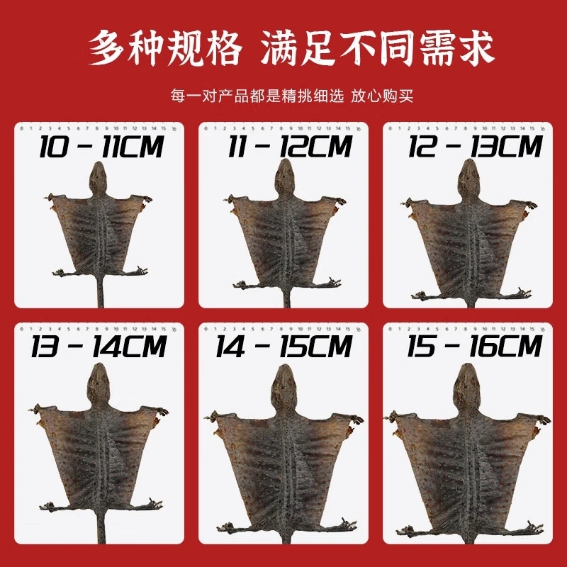 大蚧蛤干货中药材一对