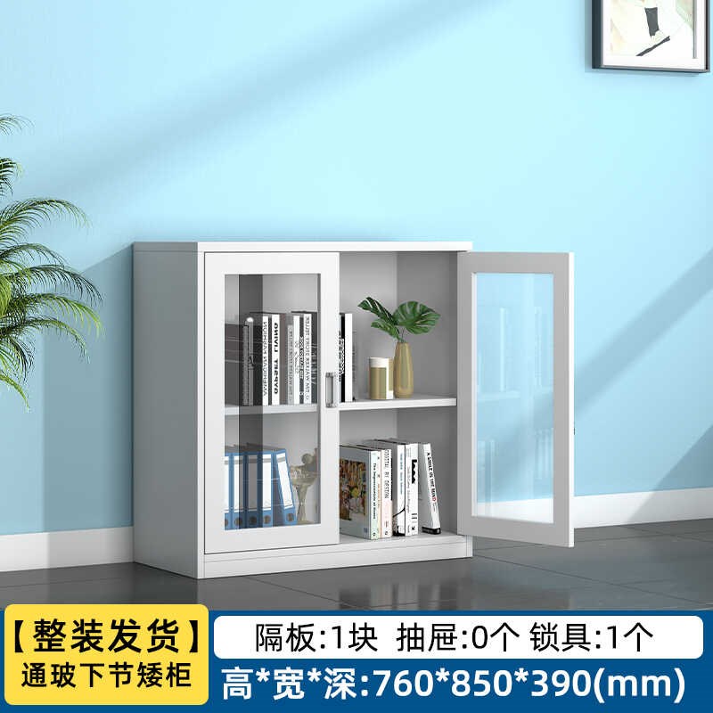 玻璃对开门矮柜办公室铁皮文件柜资料档案柜带锁桌下X收纳柜储物