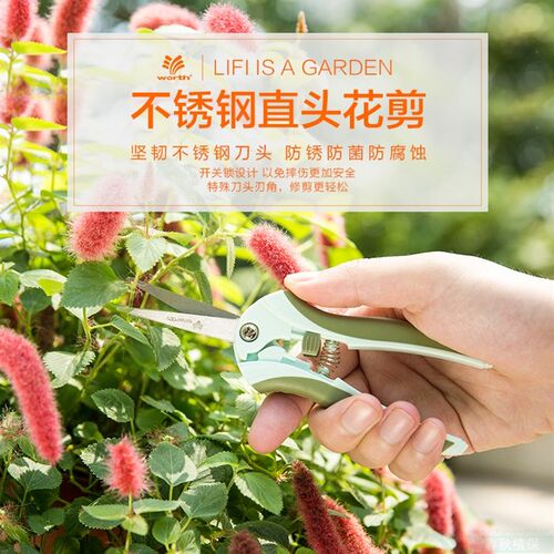 沃施worth 修枝剪刀花枝剪果枝树枝盆栽修枝工O具园艺尖头剪子108