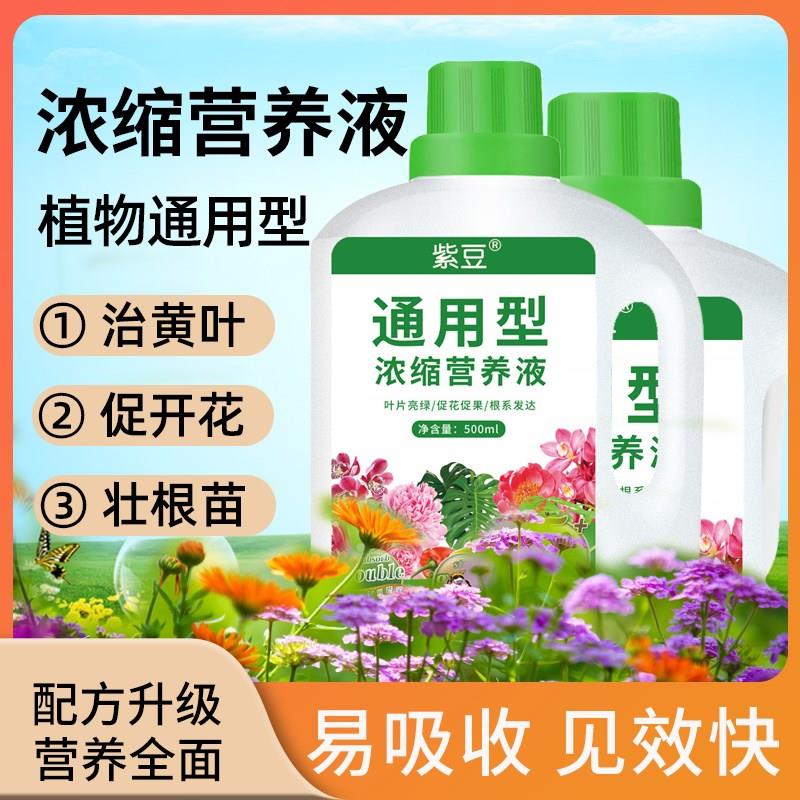 营养液室内盆栽植物营养液通用型养花花卉水培绿萝花草家用花肥料