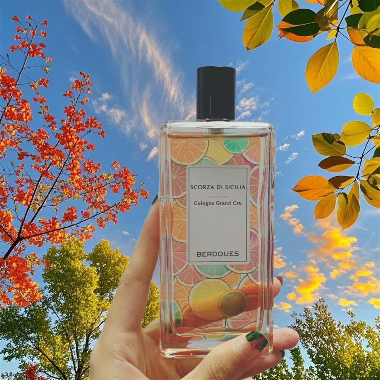 Parfumsberdoues波多斯之香小样
