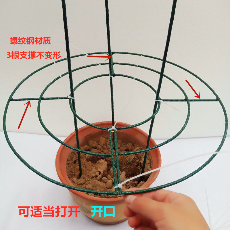 室内固定蟹爪兰昙花花苞支撑支架蟹爪莲盆栽兰花专用固定架花架