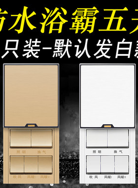 浴霸开关五开卫生间面板五合一5开风暖家用多功能集成吊顶白 金色