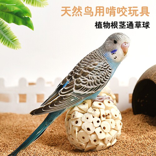 鹦鹉鸟玩具解闷自嗨镜子通草球啃咬椰壳楼梯牡丹虎皮玄凤