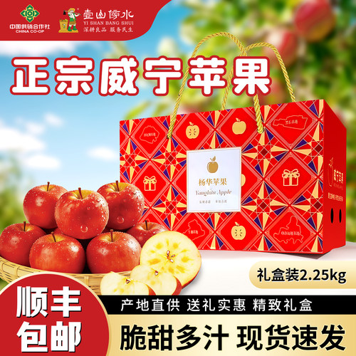 贵州威宁苹果4.5斤装高原苹果