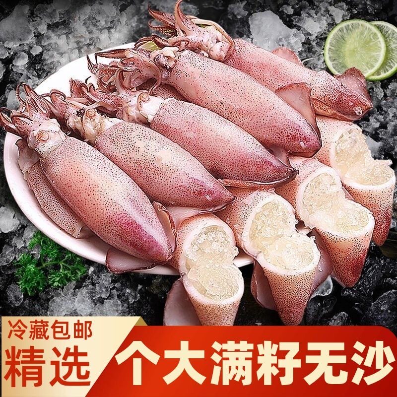 【全籽满籽】东山带籽母管籽乌海兔新鲜无沙海兔子章鱼墨鱼笔管鱼
