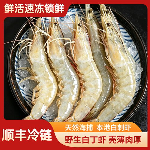 福建野生白丁虾冷冻顺丰