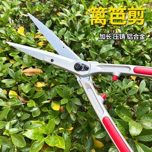园艺剪家用草坪修剪花草剪修剪树枝绿篱剪粗枝园林篱笆大剪刀 日式