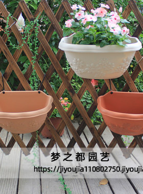 爱丽丝花盆阳台壁挂创意吊兰花盆挂墙盆栽免打孔挂式花盆2021新款