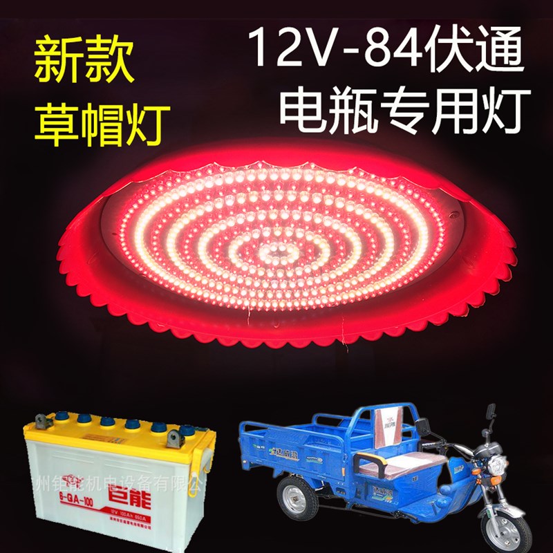 熟食灯灯12V车电动车48V60V72伏84V专用水果灯生鲜猪肉灯