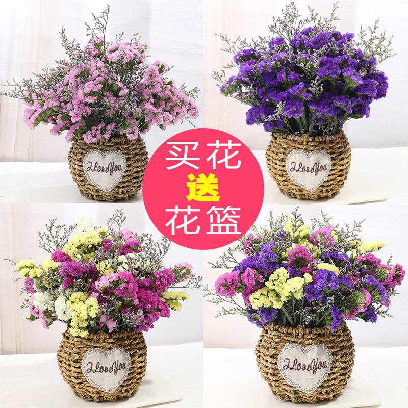 送花篮云南天然干花花束勿忘我满天星真花称斤卖客厅家居装饰摆设