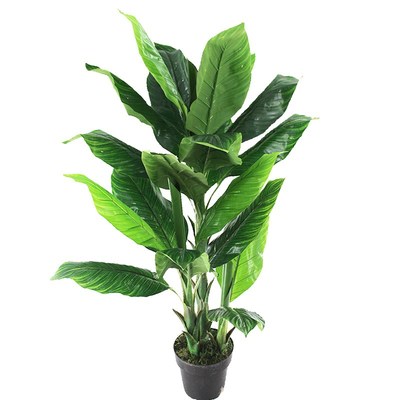 仿真盆栽热带植物芭蕉树落地盆景美人蕉叶树春秋色绿植装饰直销