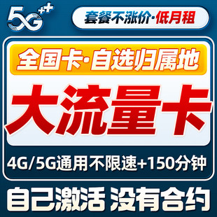 中国流量卡纯流量上网卡全国通用无线限5g大流量手机卡大王电话卡