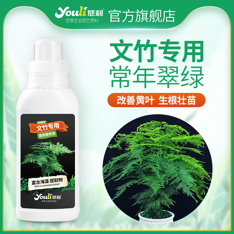 悠利文竹专用营养液水培肥料专用肥云竹植物盆景防叶子发黄