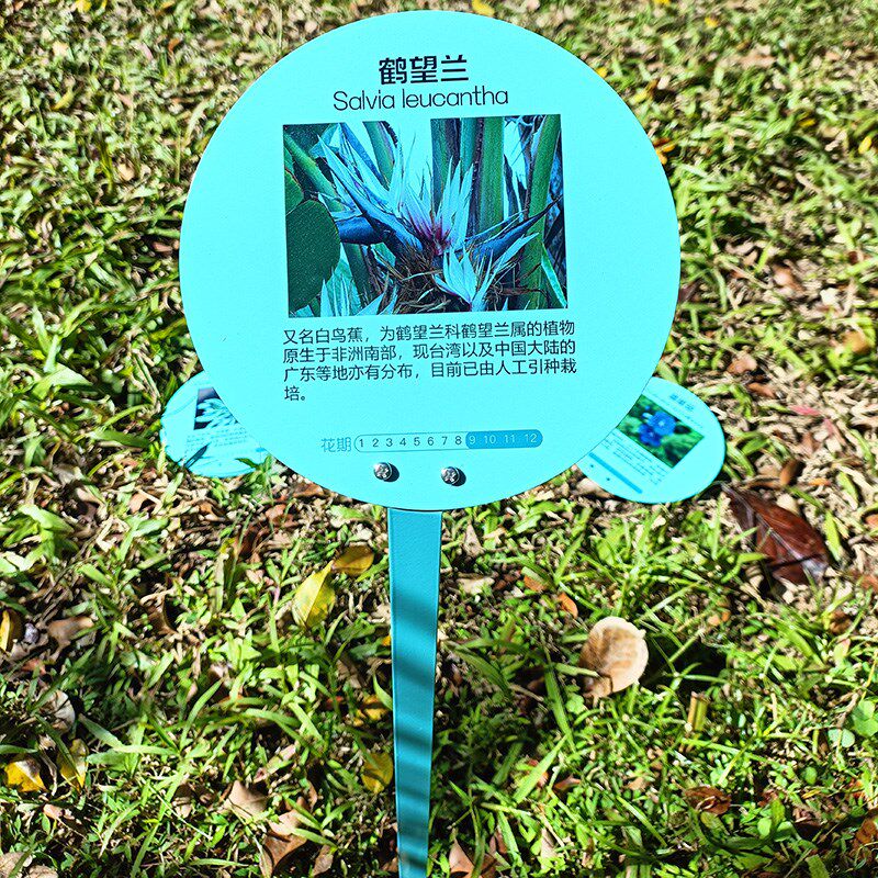 不锈钢插地牌警示牌树牌树木花草指示牌标识牌园艺展示牌介绍牌
