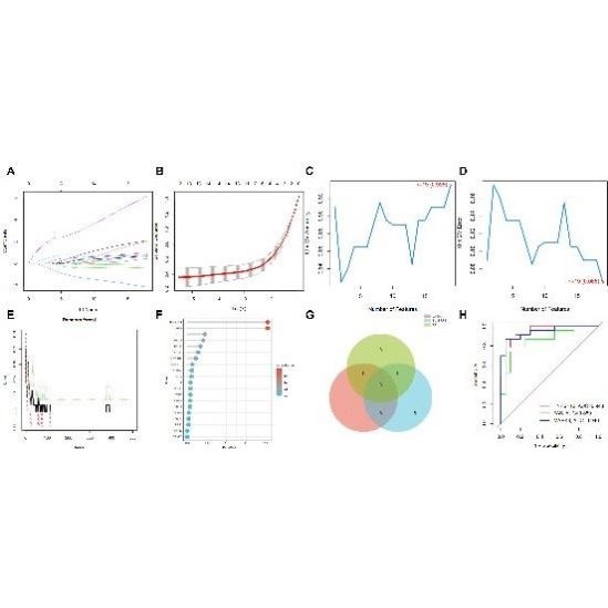 医学生信分析 单细胞测序生信3-5思路 TCGA数据库挖掘KEGG,GO分析