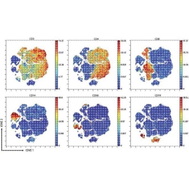 NCBI blast多序列比对服务