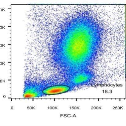 Riboseq翻译调控网络分析
