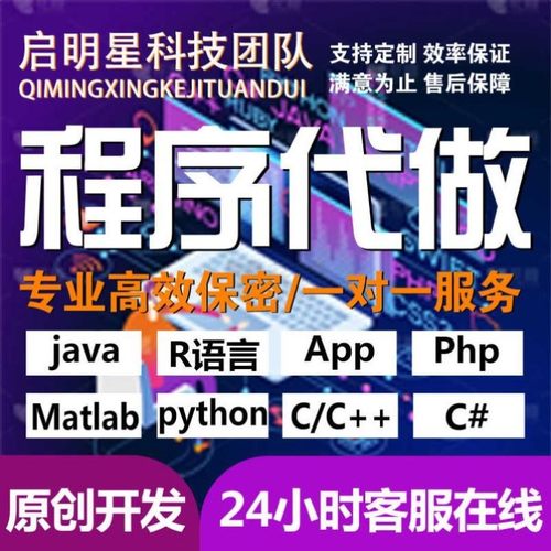 代码编写java系统开发Python代做c/c++程序代编程c#设计R语言接单
