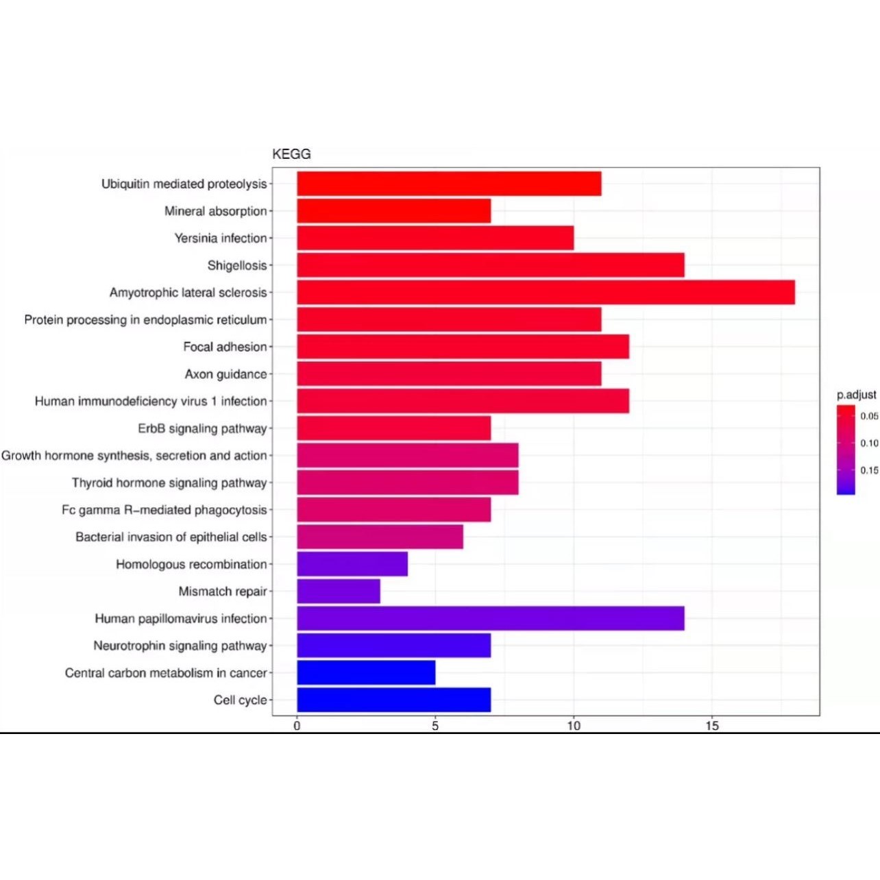 火山气泡柱状GSEA曲线图生信分析作绘图定制数据报告科研文章制图