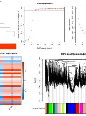 WGCNA分析代分析加权共表达网络分析数据库农学医学生物学基因SCI