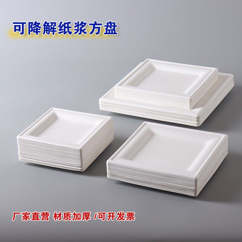 一次性盘子菜盘环保可降解家用餐具餐盘蛋糕儿童绘画纸盘子