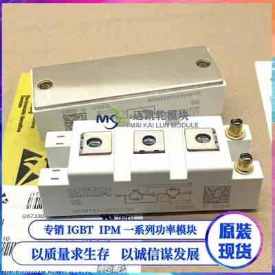 直拍SKM50/75/100/145/195/GB/GAL/GAR/124/125/D/DN/DP