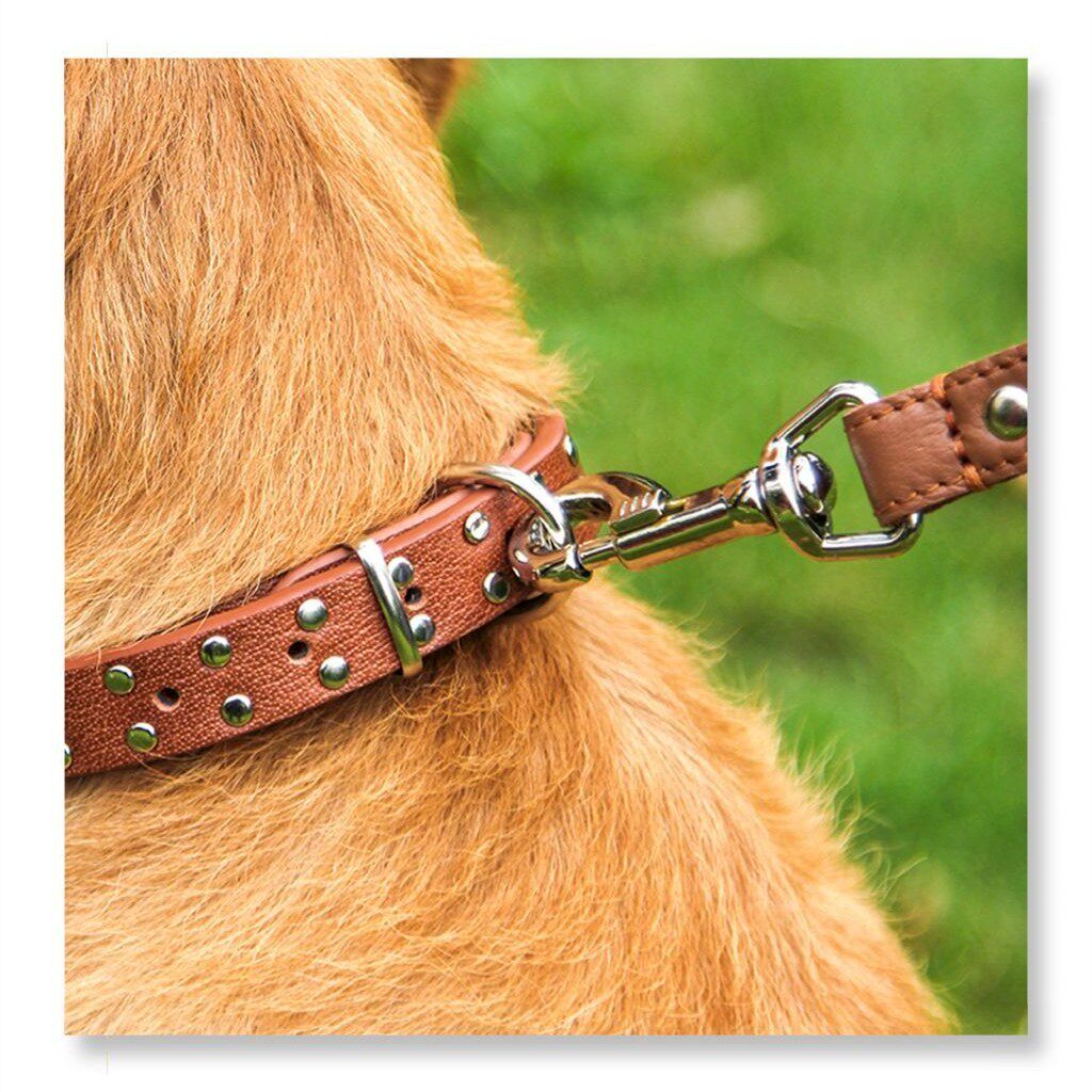 dogdom头层牛皮项圈 狗链拉布拉多中大型犬金毛脖圈 真皮颈圈