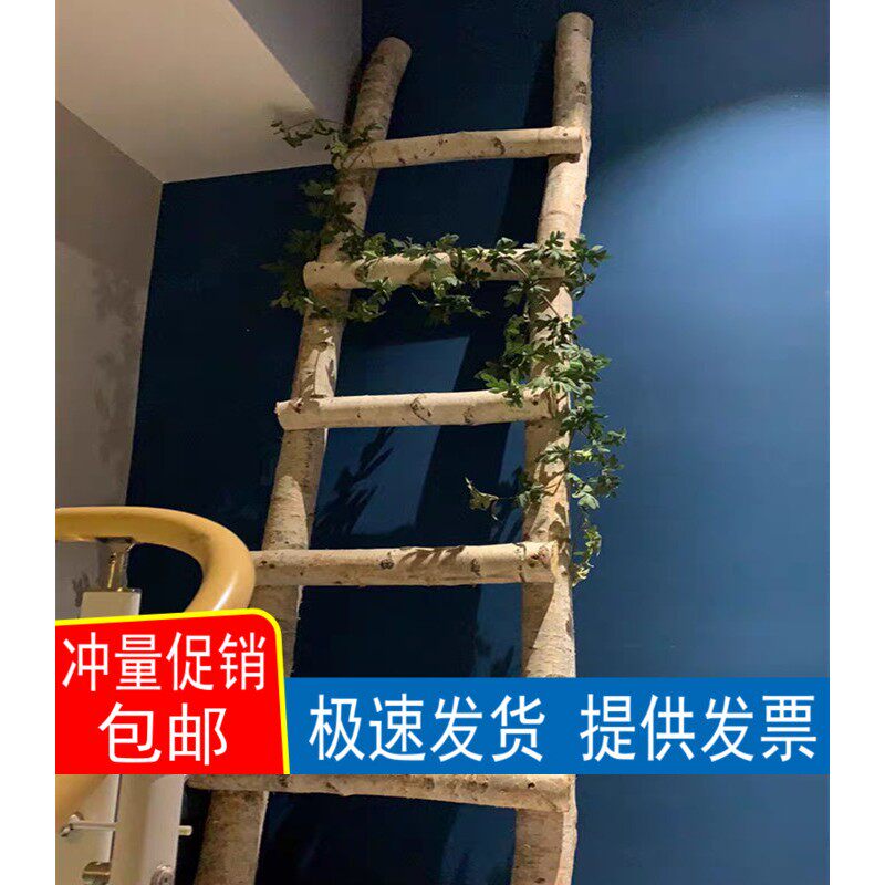 北欧白桦木树干艺术装饰白桦树装饰梯子原木梯子摆件卧室影楼拍摄