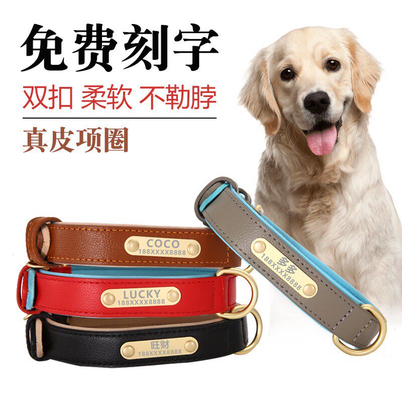 狗项圈真皮牛皮刻字脖围狗牌定制中型大型犬边境牧羊犬德牧金毛狗