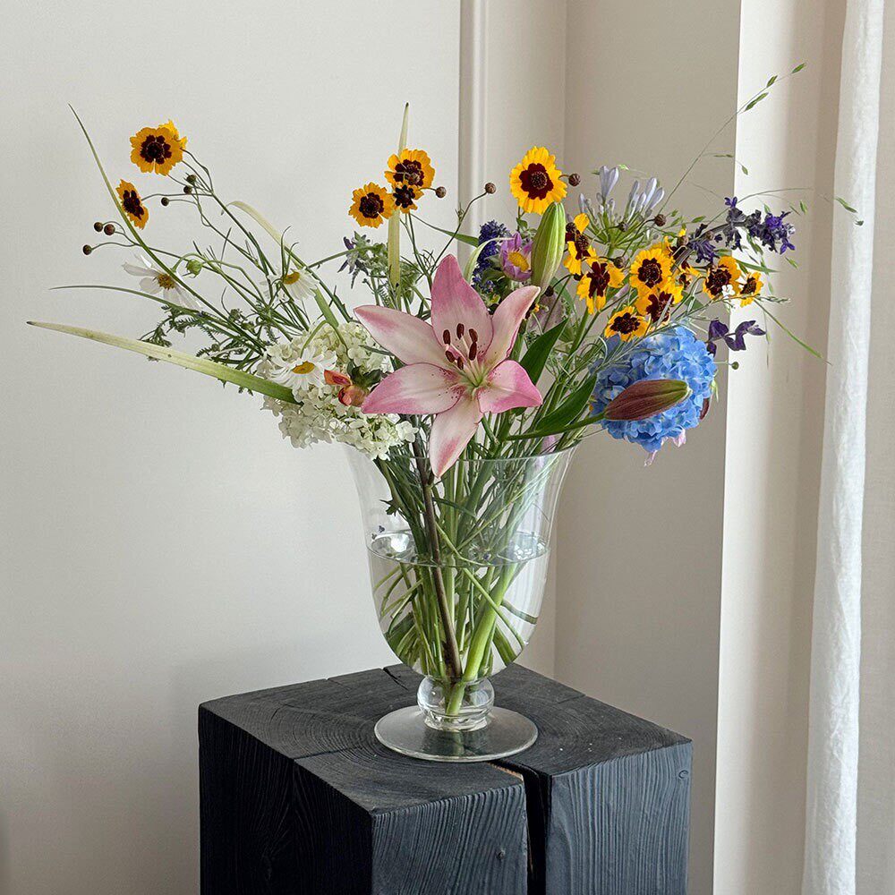 Big Vase高透玻璃大号花瓶 法式中古感鲜切插花透明家居摆件