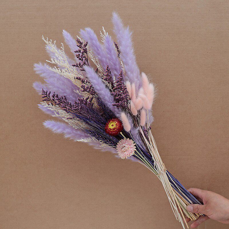 永生花干花情人草芦苇兔尾草真花束家居摆件装饰品生日礼物送女友