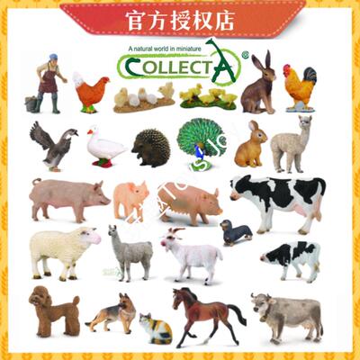 [农场动物]CollectA彷真动物模型家禽 骏马奶牛幼儿认知玩具礼物