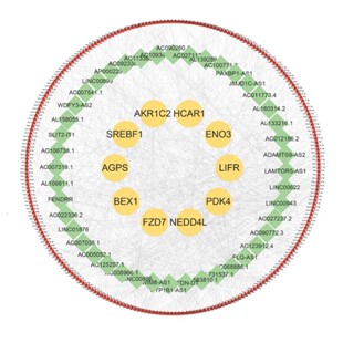 药物处理转录组分析加通路活性评分