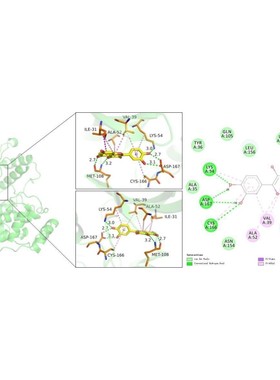 分子对接方法:autodock薛定谔 moe 金属离子.供价,柔性分子对接